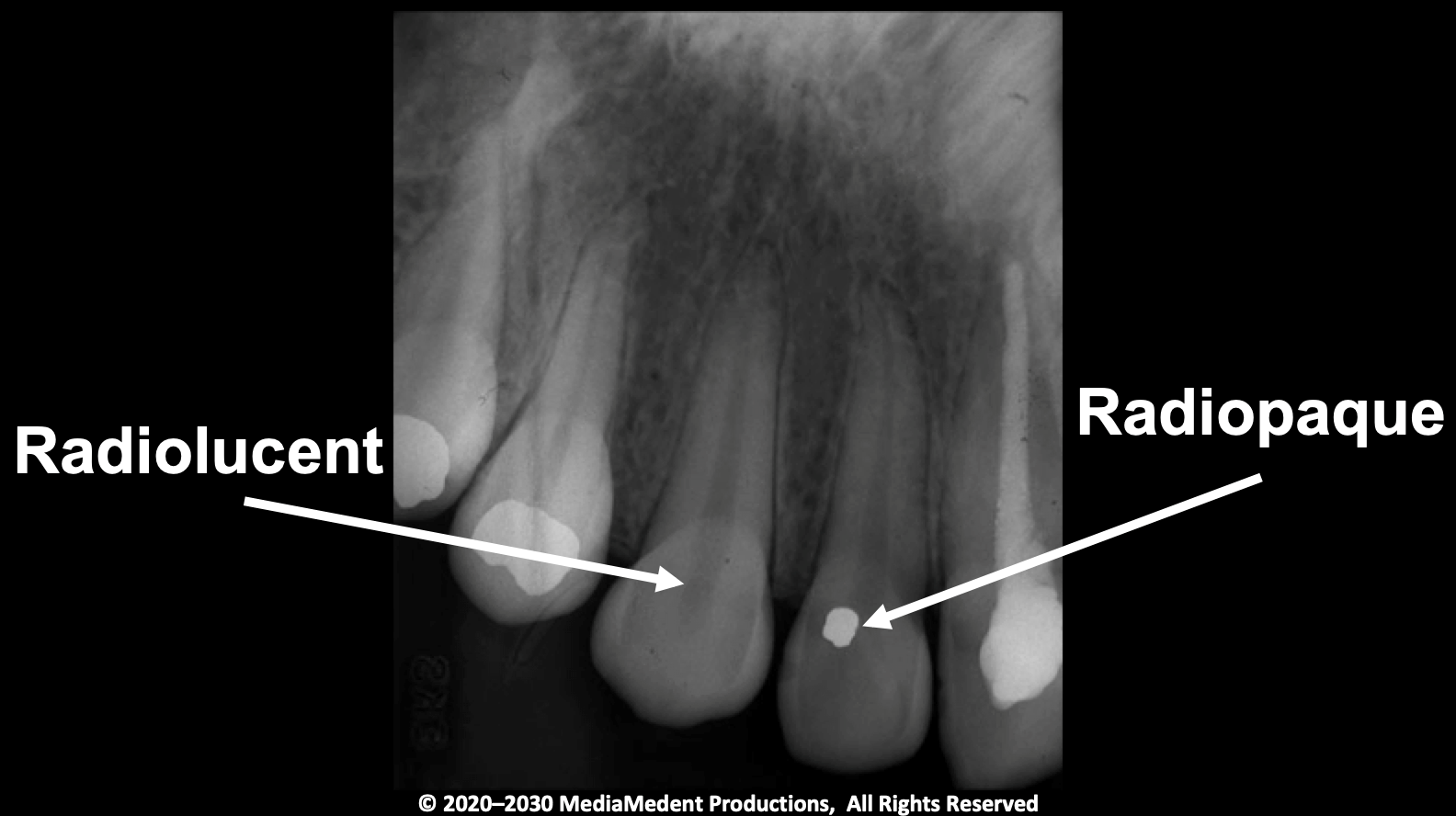 Radiology-PP-Dental Assistants | Medical & Dental Education